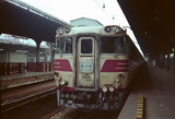 f02d04e5.jpg
