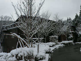 二岐温泉の秘湯、ブナ山荘(ぶなさんそう)の雪景色