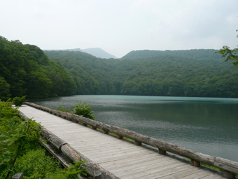 秘湯・蔦温泉周囲の「蔦沼」