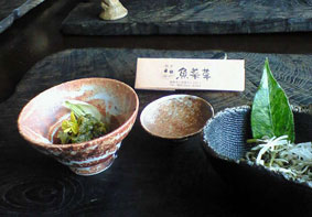 山菜料理「魚菜草」の料理。添えられた山野草が楽しい