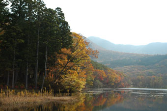 紅葉の穴場「観音沼」