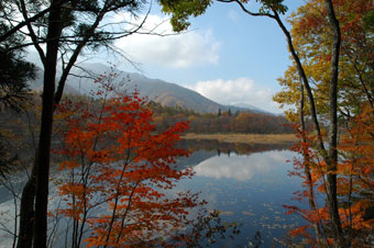 紅葉が幻想的な観音沼