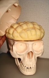 �ȥ�ӥ������äƤ��館�ޤ���