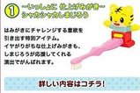 ���ޤ������θԴ֤ˤ��Ӥ�Ω�Ļ��֥饷