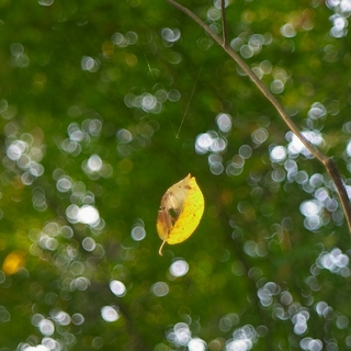 4a894211.jpg