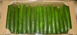 2004\06\06-25_10�F24a.jpg