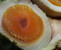 jougen04