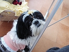 �饯��