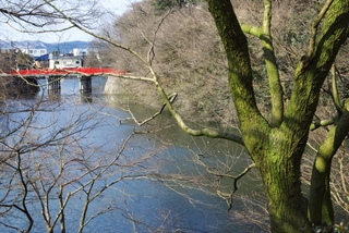 toyama