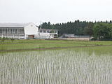 3ff3f140.jpg