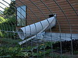 813389e1.jpg