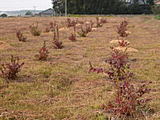 b0ec9317.jpg