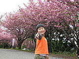c9737600.jpg
