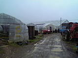 eac61c56.jpg