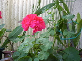 P1040041