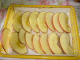 P1040049