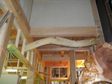 CIMG0802