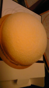 c4b24833.jpg