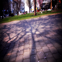 公園