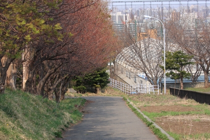 裏道