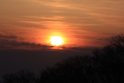 テラスから見た夕日
