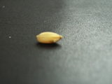 84f381e3.jpg