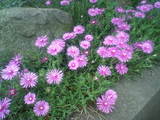 0cf928d0.jpg