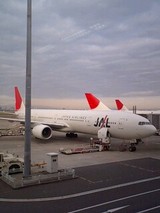 96f43421.jpg