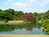 a907150f.jpg