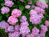 d288eb0e.jpg