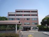 e875955f.jpg