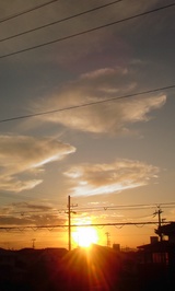 b0b66724.jpg