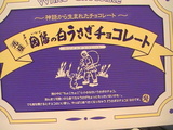 1e89704d.JPG