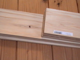 d5239806.JPG