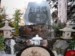 CIMG2330