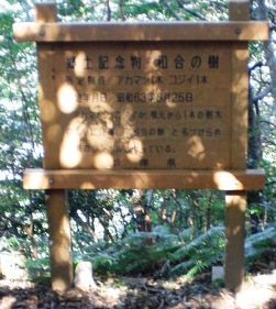 CIMG2266