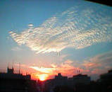 73b1ab75.jpg