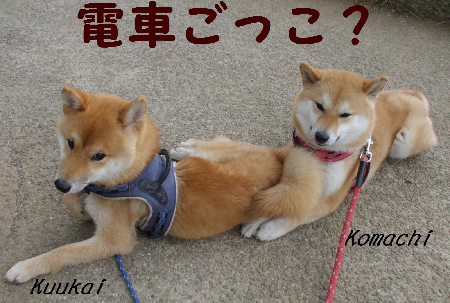 �ƻҤ����ɤ�