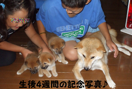 生後4週間の記念写真