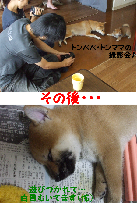 白目じゃ貰い手ないぞぉ〜!!