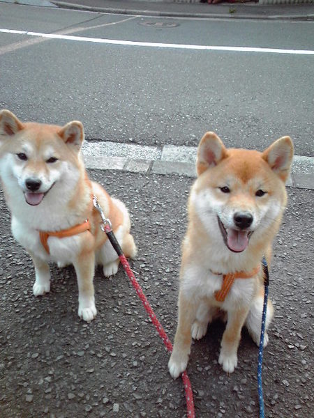 �ˤä���2���
