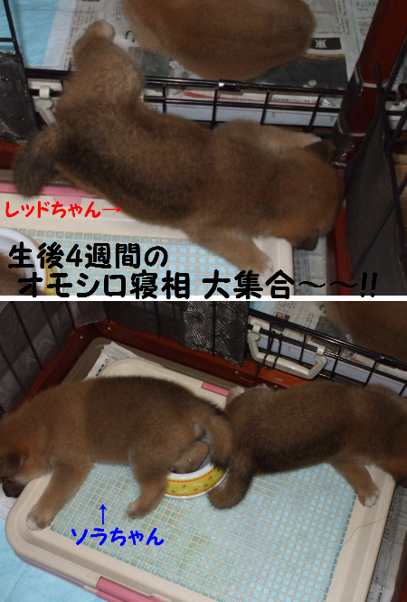 寝相スペシャル!!
