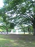 05-05-21_07-20~00.jpg