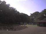 e6583a99.jpg