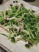 豆苗