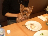 10.30こなつ3