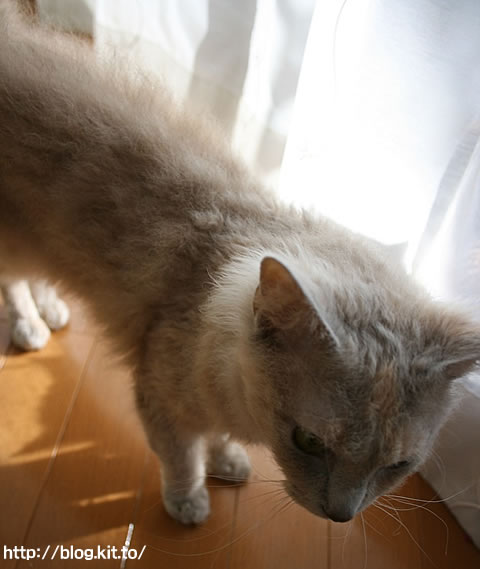 �ߤ��4