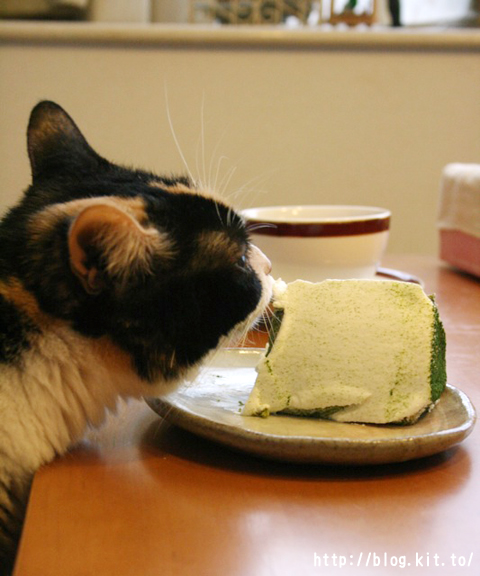 ケーキ3