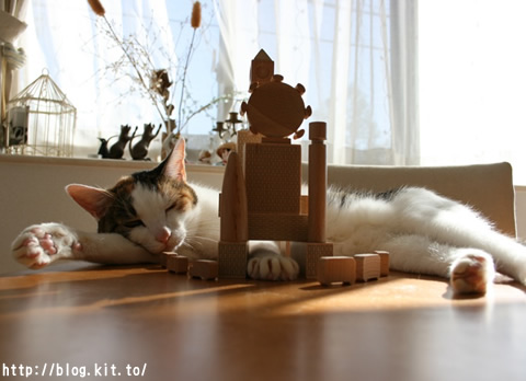 ねここ3