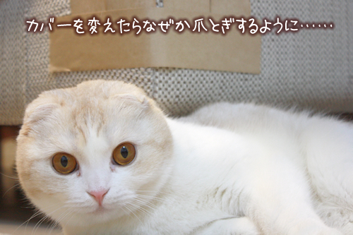 ���С����Ѥ�����ʤ����ޤȤ�����褦�ˡġ�